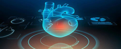 Cell重磅！科学家开发出全球首个自组装人类心脏类器官