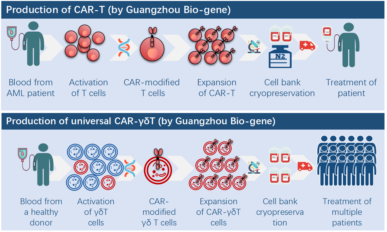 CAR-T制备流程